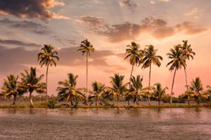 Alleppey Beach